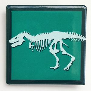 American Museum of Natural History Metal Square T Rex Dinosaur Bones Pin Geology
